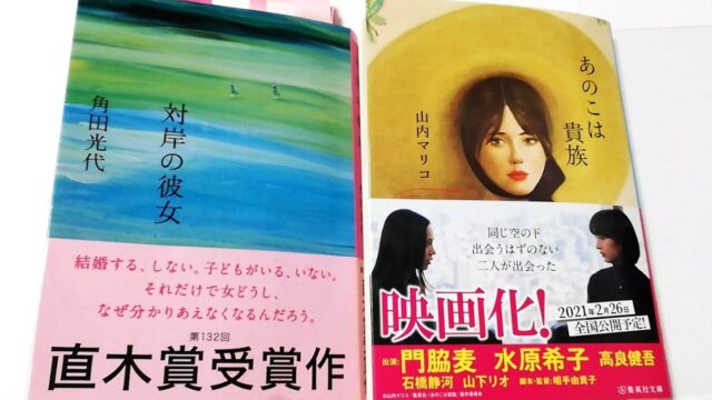 アイネクライネナハトムジーク は なんつー贅沢な作品 映画vs小説vs漫画vsベリーベリーストロング 一行レビュー